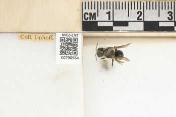 Media type: image;   Entomology 790564 Aspect: Labels